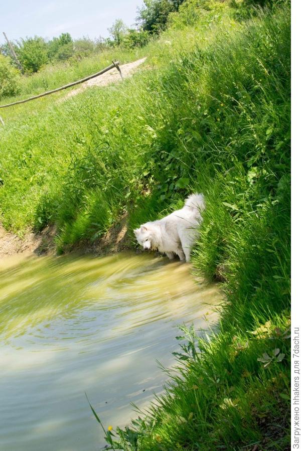 Булочки мочить ни в коем случае нельзя