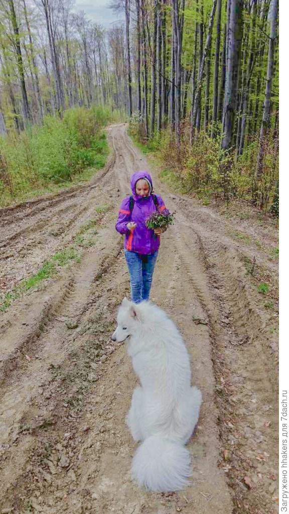 Пельмешка в лесу