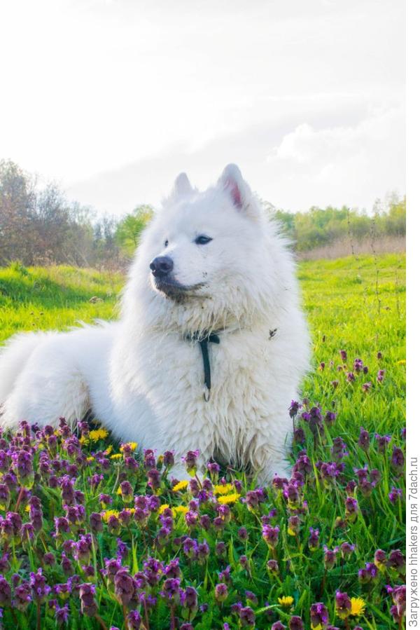 Хоть портрет пиши