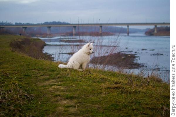 Первый выезд на реку. Малыш боится подходить к воде, поэтому просто наблюдает