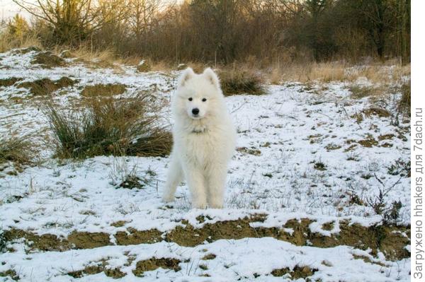 Ножку в сторону - чик!