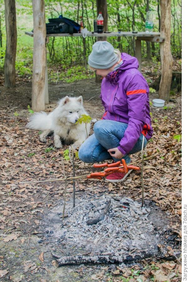 Терпеливо ждет свою сосиску с костра