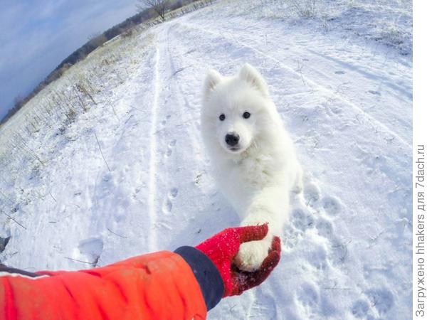 Здравствуй!