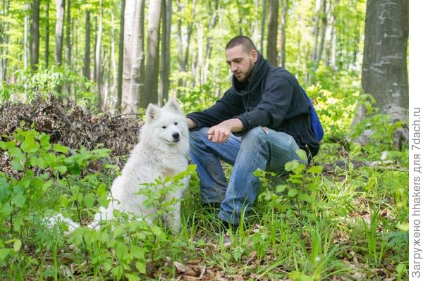 Учим команду "Где Катя?"