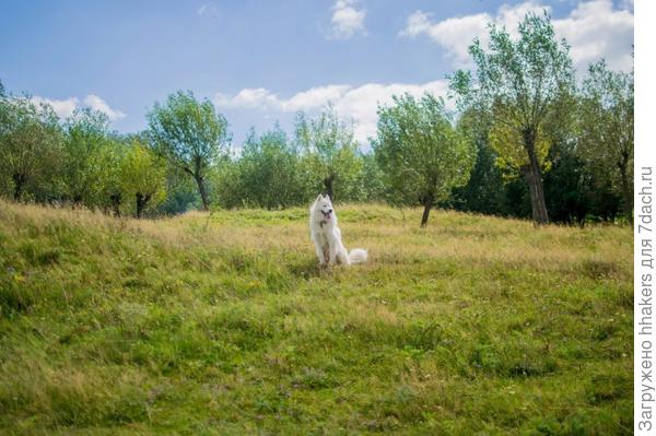 Погодку бы попрохладнее