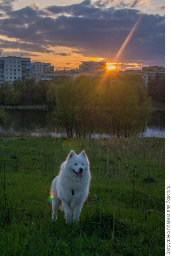 Закатные лучи в парке