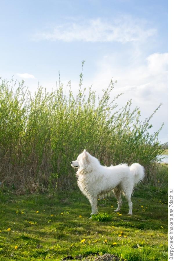 Всегда начеку!