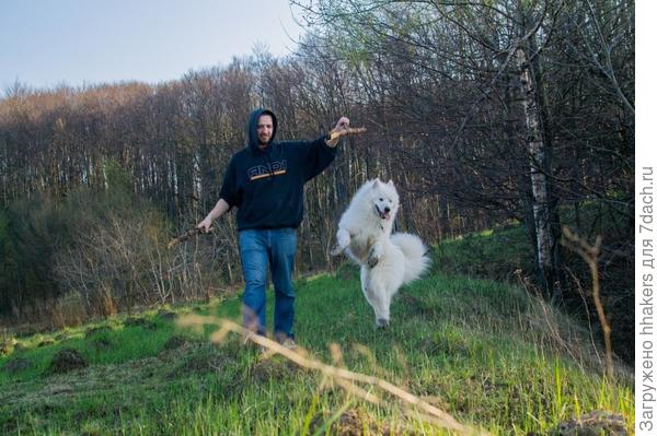 Разрабатываем лапу после перелома. Кажется, Моби уже забыл что что-то болело