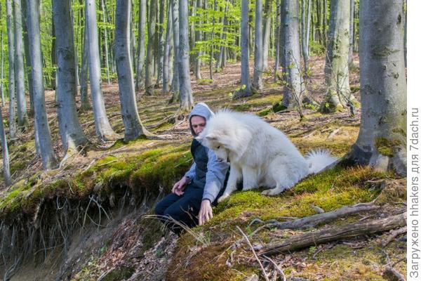 Хозяин что-то объясняет, Моби прилежно слушает