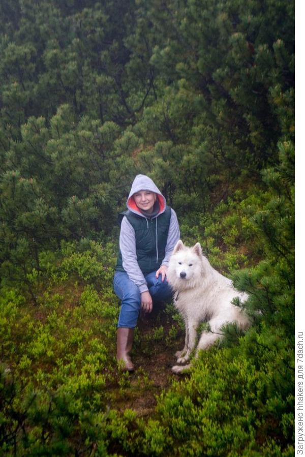 До вершины горы Хомяк оставалось 15 минут ползти на четвереньках