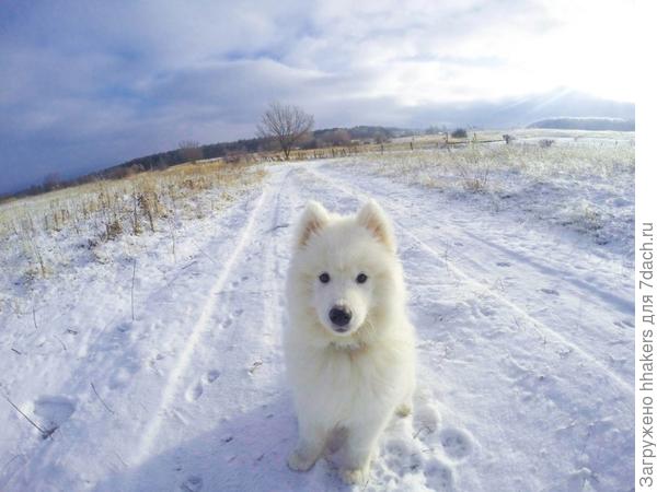 Привет, человеки!
