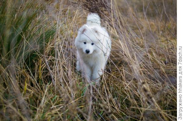 Мое самое любимое фото этого маленького облачка