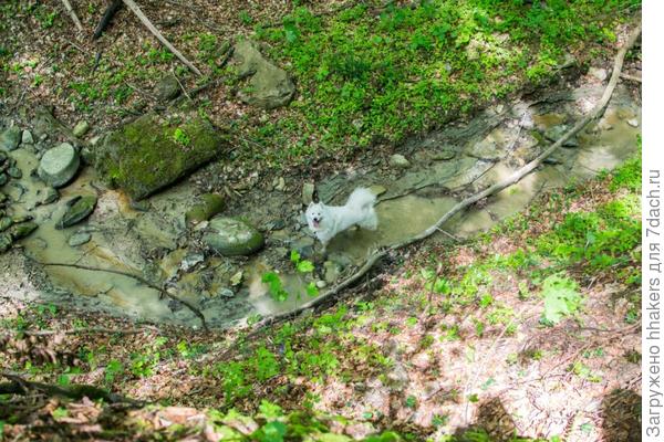 Пока мы пробирались к обрыву, Моби уже разведал обстановку внизу и стал зазывать нас спуститься