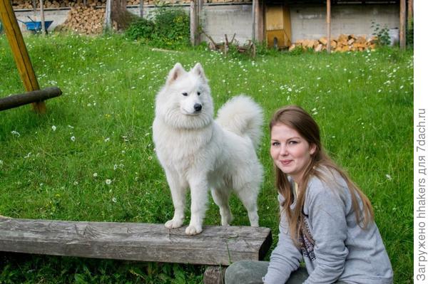 Новая территория