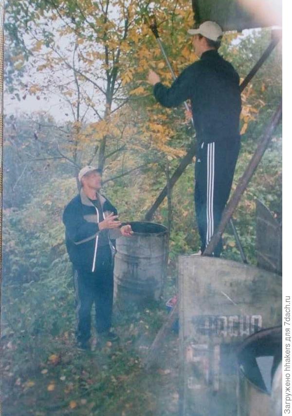 Сбор яблок