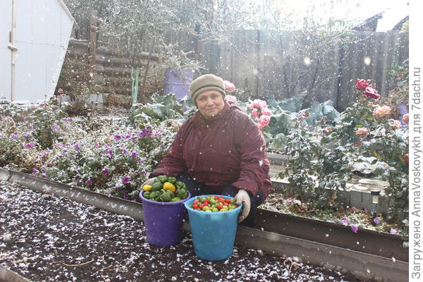 Вот такая осень 2015 года.