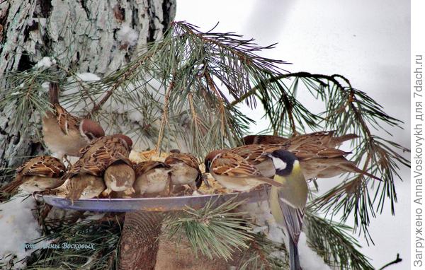 И мои детки тоже.