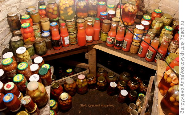 Уже и мой круглый погребок заполнен витаминной продукцией на зиму.