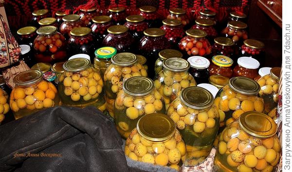 Вот и начались первые заготовки витаминов в зиму.