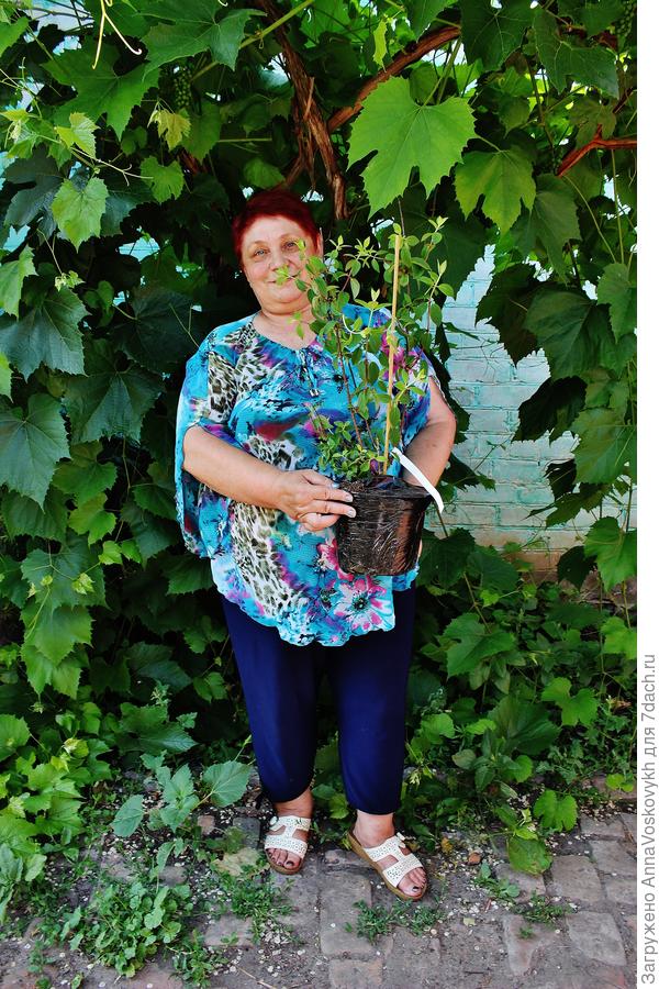 Со своей красотой.