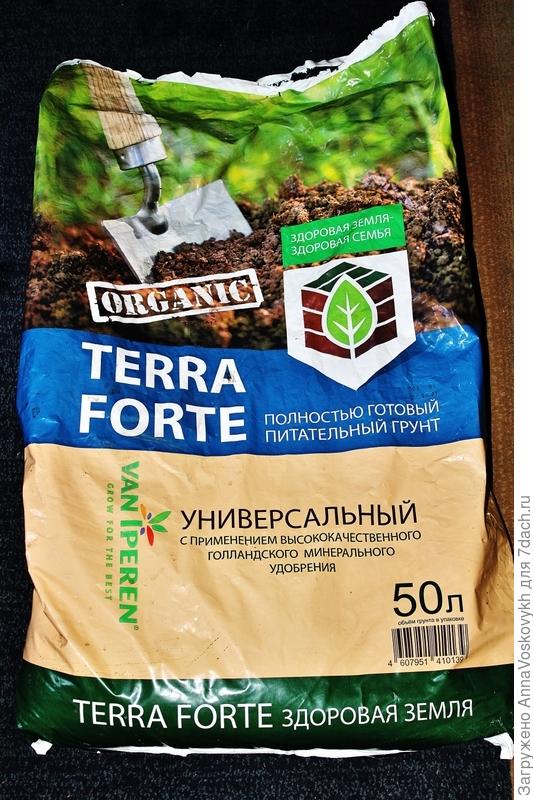 Для пикировки, я брала "живую землю".