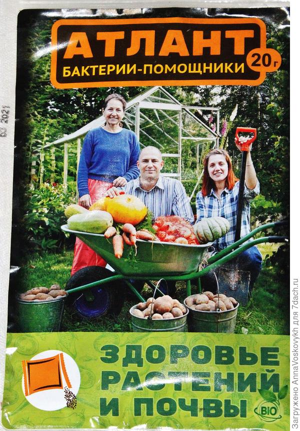 Атлант - супер улучшитель почвы.