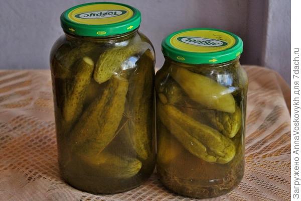 Это всё, что удалось закрыть (хорошо, что осталось много с прошлого лета) Но едим вволю!