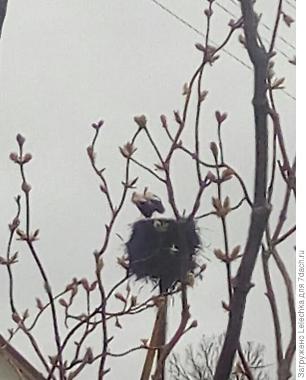 Ждём пополнения.