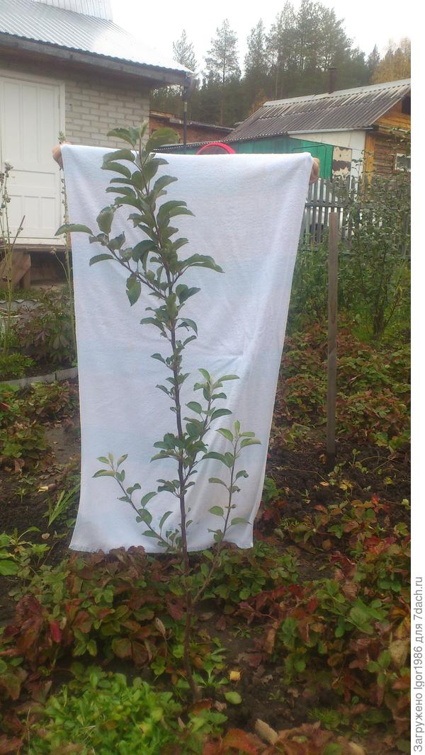 Вид с востока