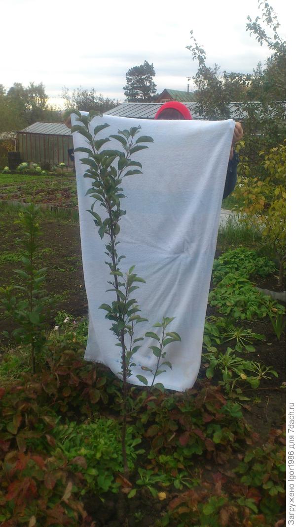 Вид с севера