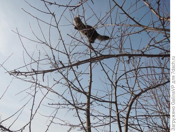 А это вид с другого ракурса