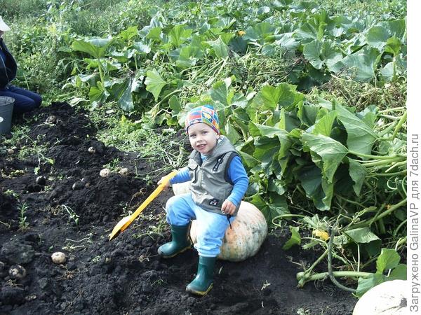 Свой золушок имеется))))