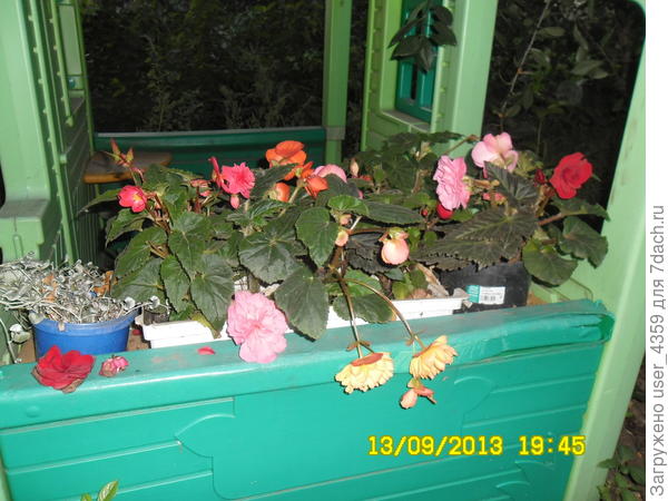 ящик на теневом месте