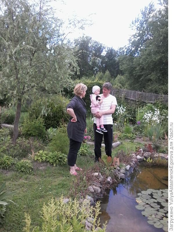 На переднем плане плакучая ива