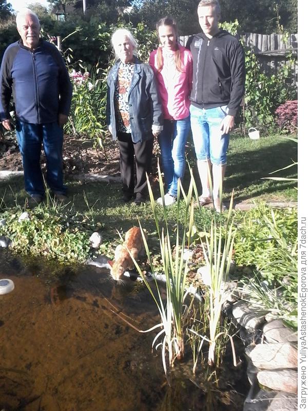 Наш Лучик увидел зелёную лягушку