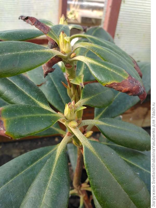 Вот так выглядел сегодня днём.