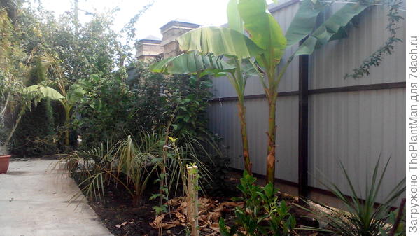 конец октября 2017 года.