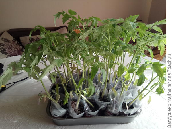 перед посадкой