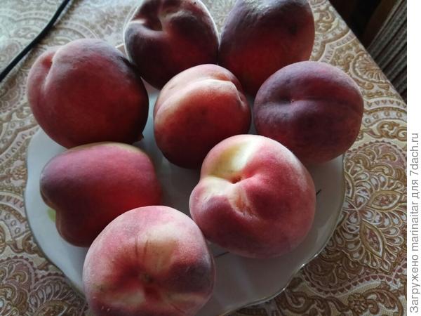 более ранний персик