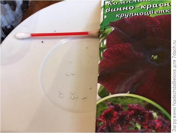 Гранулы очень удобно подцеплять ватной палочкой