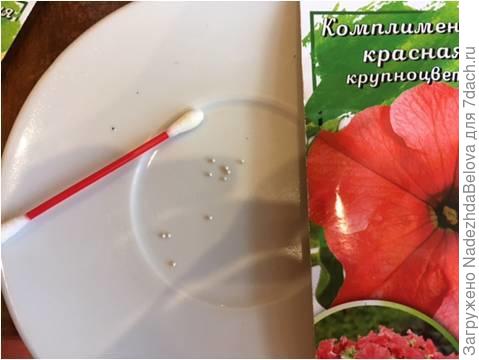 Гранулы очень удобно подцеплять ватной палочкой
