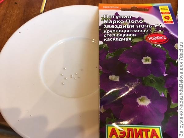 Гранулы
