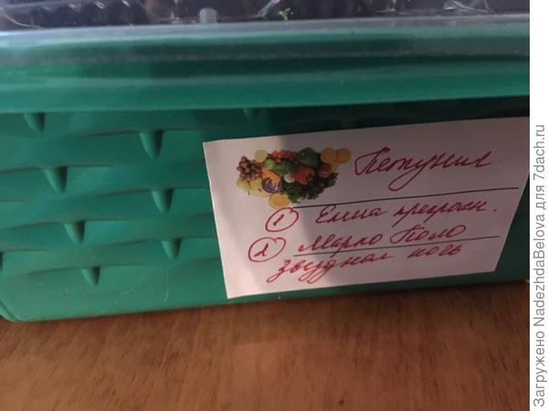 Этикетки
