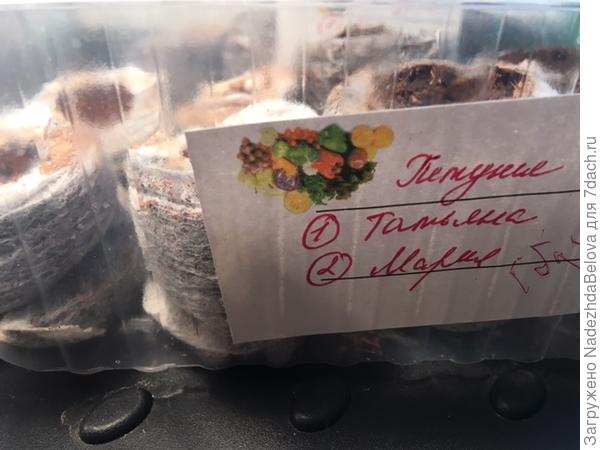 Этикетки