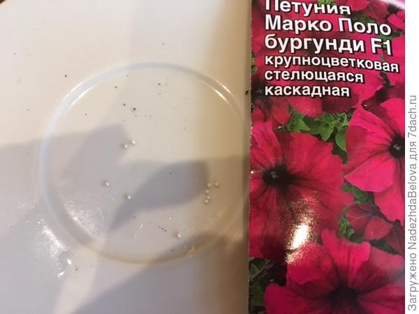 Гранулы