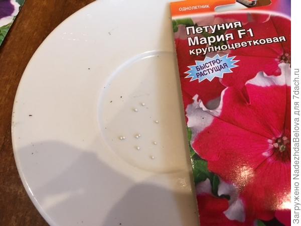 Семена