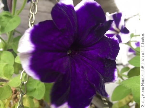 вот такие разные Татьяны