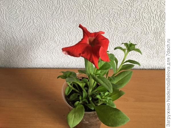 1 мая