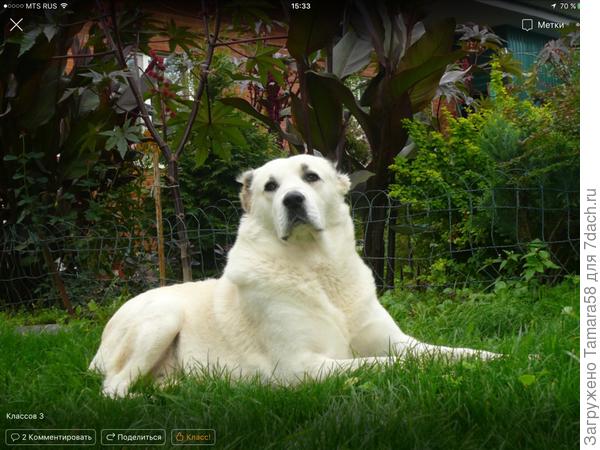 Это моё фото в одноклассниках было. Больше всех классов набрал.