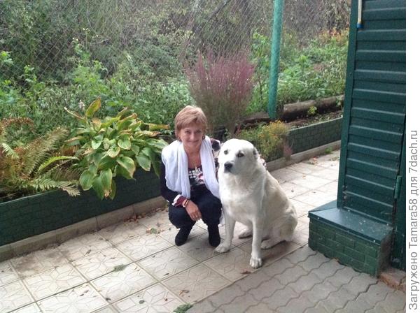 Умный, послушный очень обидчивый. Вот уехала и не сказала. Обиделся. Ну потом помирились.